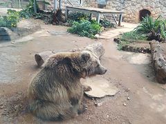 -昆明动物园