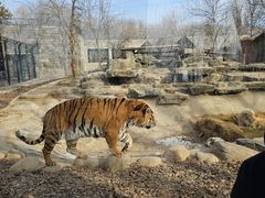 -北京野生动物园