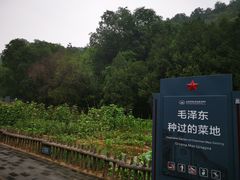 -延安杨家岭革命旧址