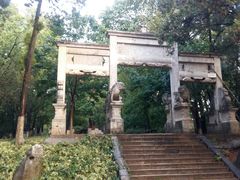 -昆明动物园