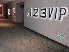 -汉阳天河电影城(王家湾店)