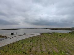 -盐城丹顶鹤湿地生态旅游区