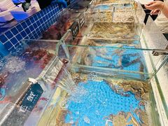 -加餐海鲜自助(宝龙一城店)