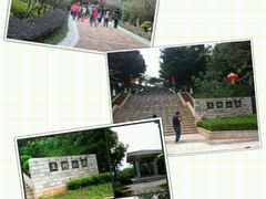 -玉树公园