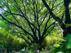 -东莞市可园博物馆