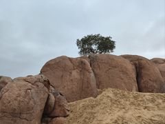 -玉龙沙湖景区