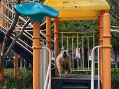 -廊坊固安福朋喜来登酒店