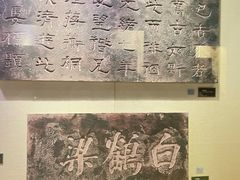 -白鹤梁水下博物馆
