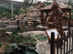-龙达温泉生态城