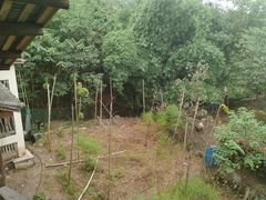 -驿舍·民國老营房院子私房菜(科学会堂店)