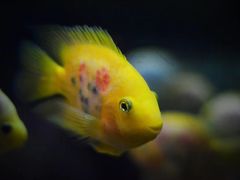 -苏州海洋馆