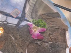 -野妹火锅(布吉店)