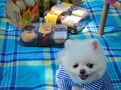 -上海浦江郊野公园-2号停车场