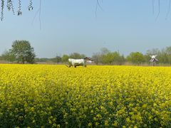 -长兴太湖图影湿地文化园