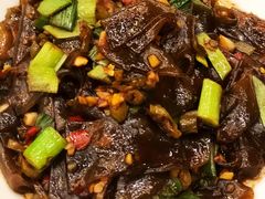 窑藏辣椒炒粉皮-翠清酒家(万丰路店)