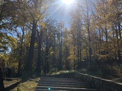 -阳台山自然风景区