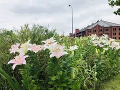 -横滨红砖仓库1号馆