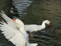 -水磨沟公园