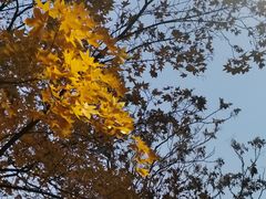 -长辛店二七公园