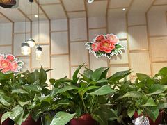 -洛阳宴·洛阳菜(南昌路店)
