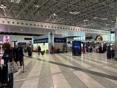 -米兰马尔彭萨国际机场