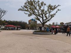 -朱家尖南沙景点