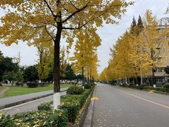 -四川大学(望江校区)