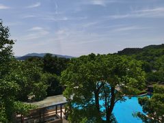 -逸廊大堂吧-下午茶·简餐-千岛湖自由洲际殿