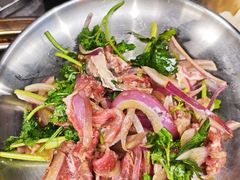 -杨小佳·齐齐哈尔烤肉·烤串(广州店)