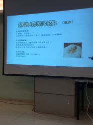 -上海美兰湖妇产科医院