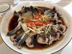-煲来饱去冷水鱼
