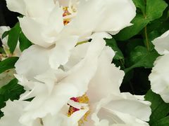 -御花园·粤菜·海鲜火锅(中山公园店)