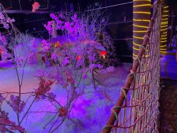 -圣名游乐城冰雪大世界