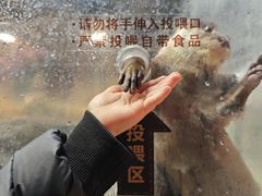 -哈尔滨波塞冬海底世界