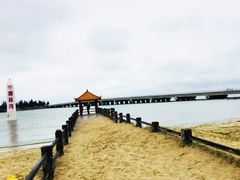 -东郊椰林