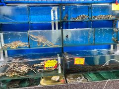 -蚝专家(北滘店)