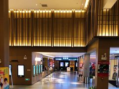 -深影国际影城(学院南路店CGS中国巨幕店)