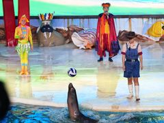 -三亚海昌梦幻海洋不夜城