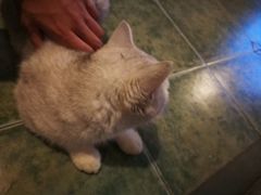 -南京夫子庙国际青年旅舍(平江府路店)