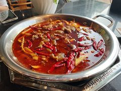 -蜀香居鲜毛肚火锅