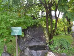 -富田农场
