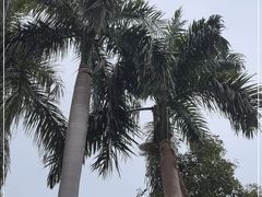 -广州市白云山风景名胜区