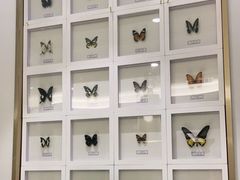 -峨嵋小镇(远洋城店)