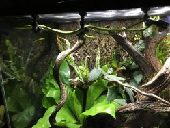 -酷嗒动物文化乐园(cutezoo西溪乐天城店)