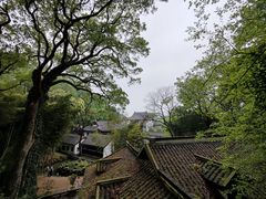 -岳麓山风景名胜区