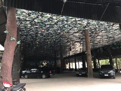 -绿光森林餐厅