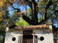 -塔川景区