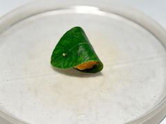 -大董(环贸iapm店)