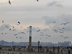 -东港音乐喷泉广场