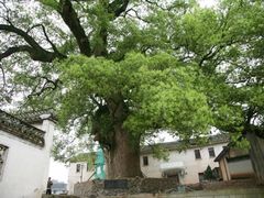 -新安江山水画廊风景区